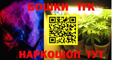 индика Новозыбков