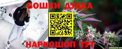 ECSTASY Будённовск